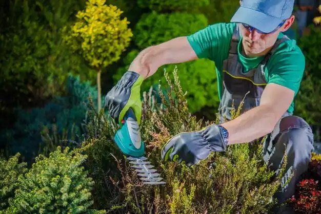 landscaping services Wood River